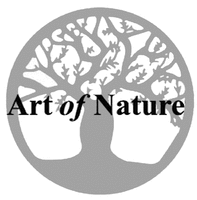 Art of Nature