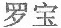  LUO BAO 