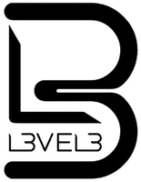 L3 L3VEL3