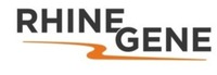 RHINE GENE