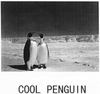 COOL PENGUIN