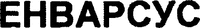 ENVARSUS (Cyrillic characters).