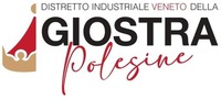DISTRETTO INDUSTRIALE VENETO DELLA GIOSTRA Polesine