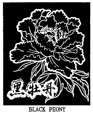 BLACK PEONY