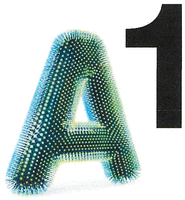 A1