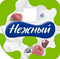 Nezhnyi