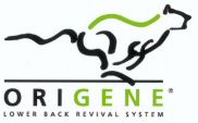 ORIGENE LOWER BACK REVIVAL SYSTEM