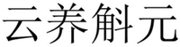  The four Chinese characters in the mark from left to right are transliterated as “Yun” “Yang” “Hu” “Yuan”