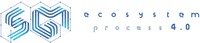 SGM ecosystem process 4.0