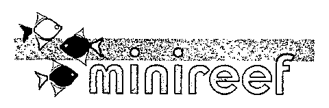 minireef