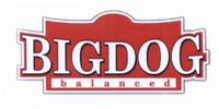 BIGDOG balanced