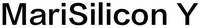 MariSilicon Y
