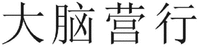 DA NAO YING HANG
