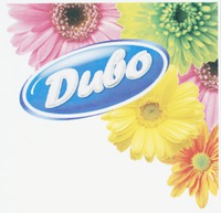 Dyvo.