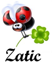 Zatic