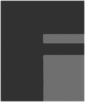 FI