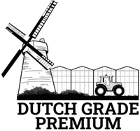 DUTCH GRADE PREMIUM
