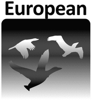 European