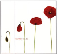 FLOWERBYKENZO