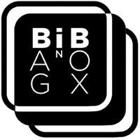 BAG iN BOX