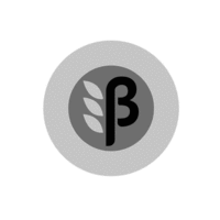  Beta 