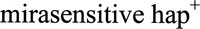 mirasensitive hap