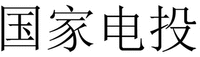 GUO JIA DIAN TOU