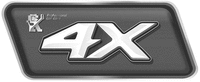 4X Professional car care