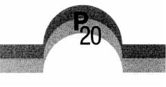 P20
