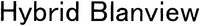 Hybrid Blanview