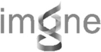 imgne
