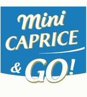 Mini CAPRICE & GO !