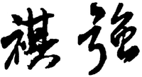 QI QIANG