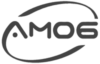 AM06
