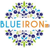 BLUEIRON FE