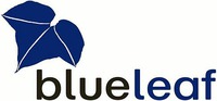 blueleaf