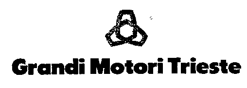 Grandi Motori Trieste