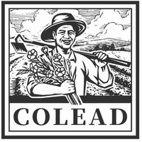 COLEAD