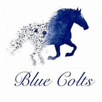 Blue Colts