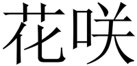 HUA XIAO
