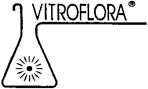VITROFLORA