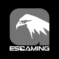 ESGAMING