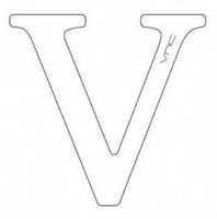 V VNC