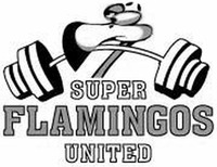 SUPER FLAMINGOS UNITED