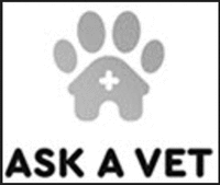 ASK A VET