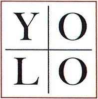 YOLO