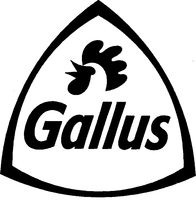 Gallus