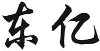 DONG YI