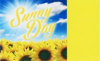 Sunny Day