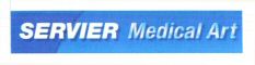 SERVIER Medical Art